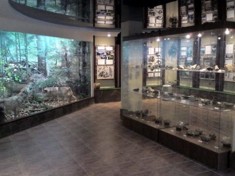 Музей флоры и фауны на Красной поляне